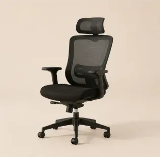 Ergonomic Desk Chair — Office